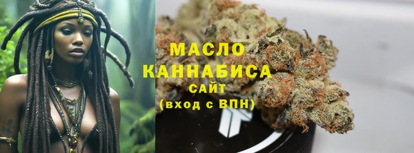 прущий лед Богданович